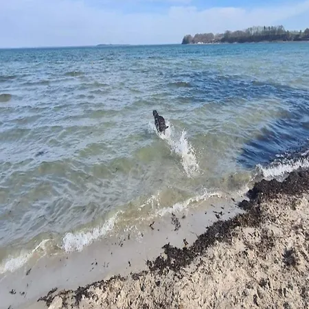 6 Person On A In Апартаменты *